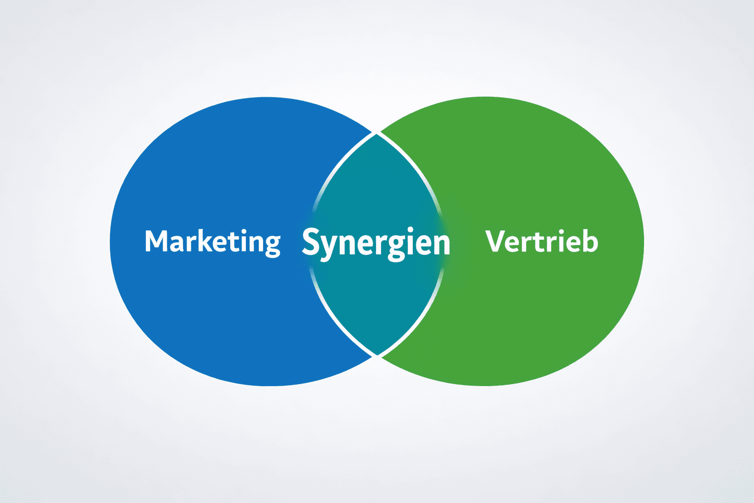 Symbolbild mit überlappenden Kreisen und dem Wort Synergien – ironische Darstellung typischer Business-Phrasen.